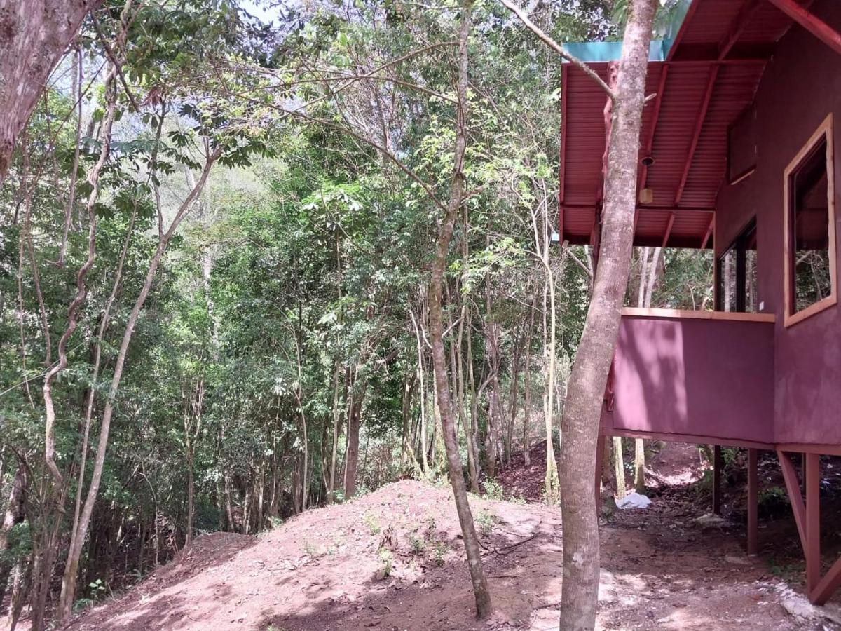 Curuba Lodge Copey المظهر الخارجي الصورة