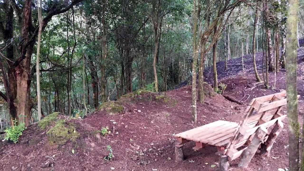 Curuba Lodge Copey المظهر الخارجي الصورة