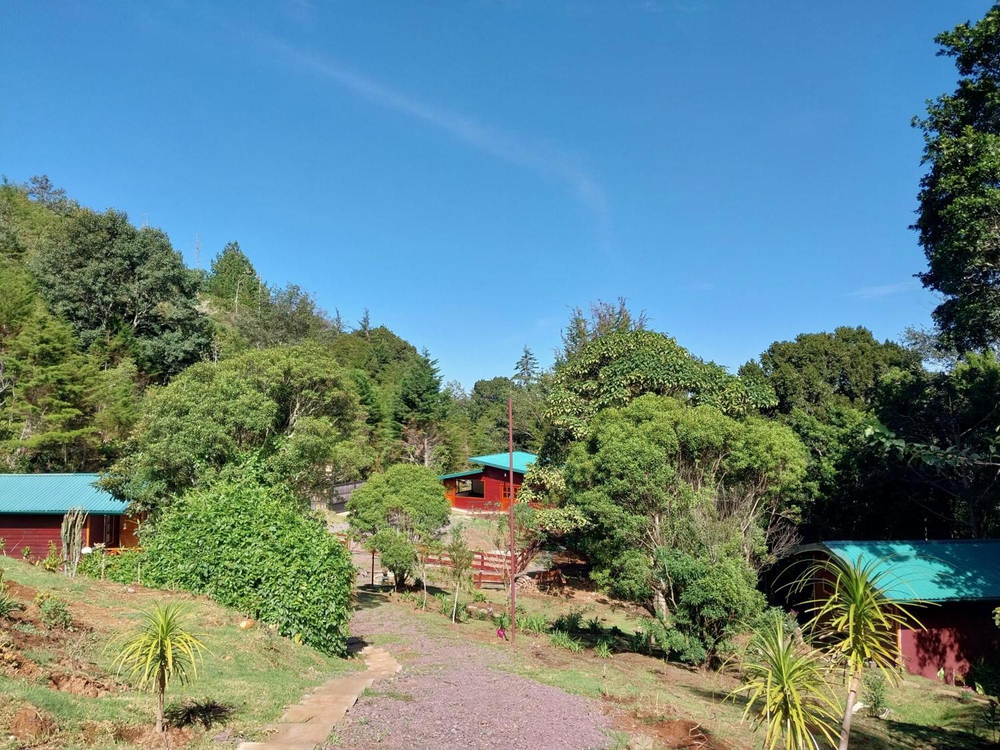 Curuba Lodge Copey المظهر الخارجي الصورة