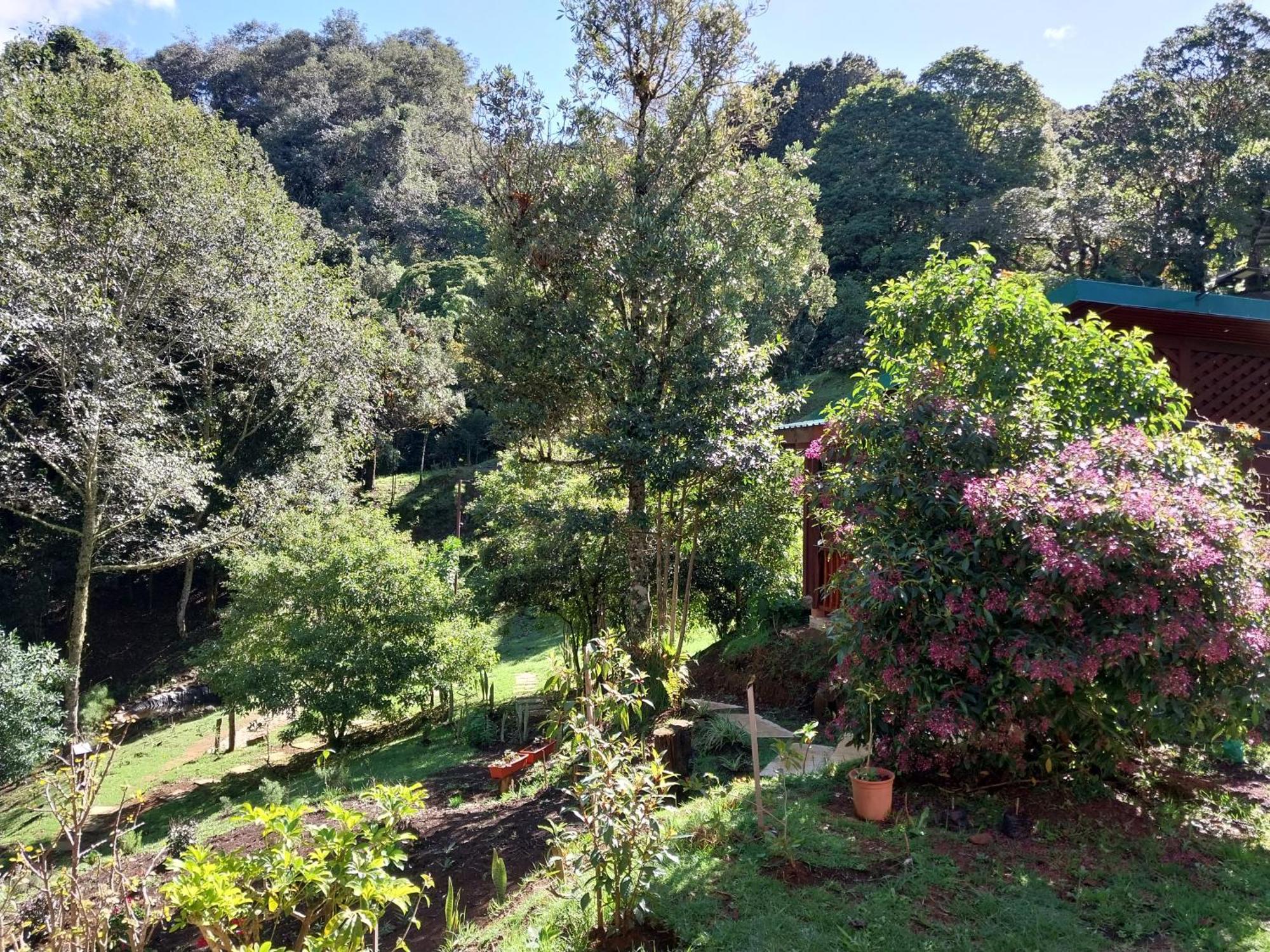Curuba Lodge Copey المظهر الخارجي الصورة