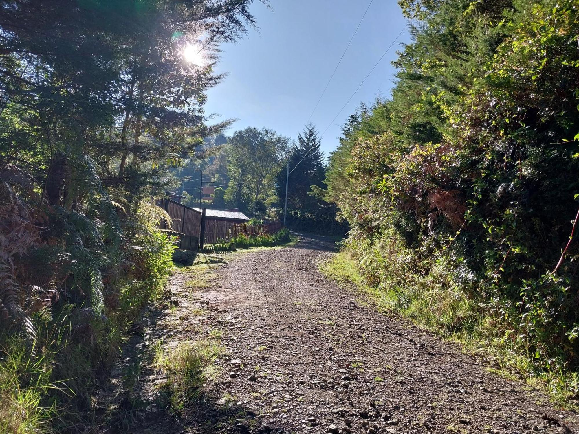 Curuba Lodge Copey المظهر الخارجي الصورة