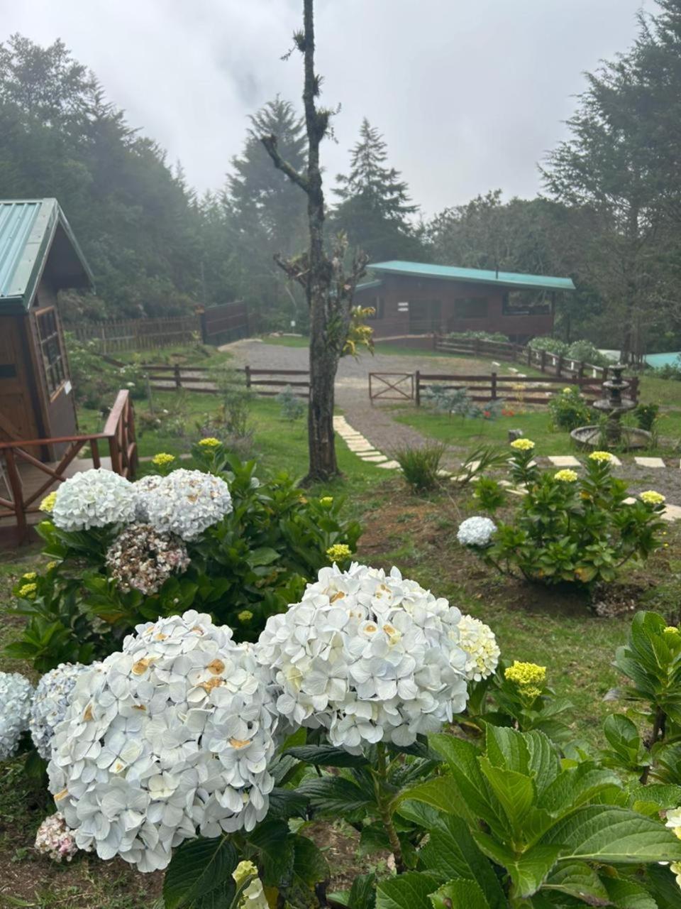Curuba Lodge Copey المظهر الخارجي الصورة
