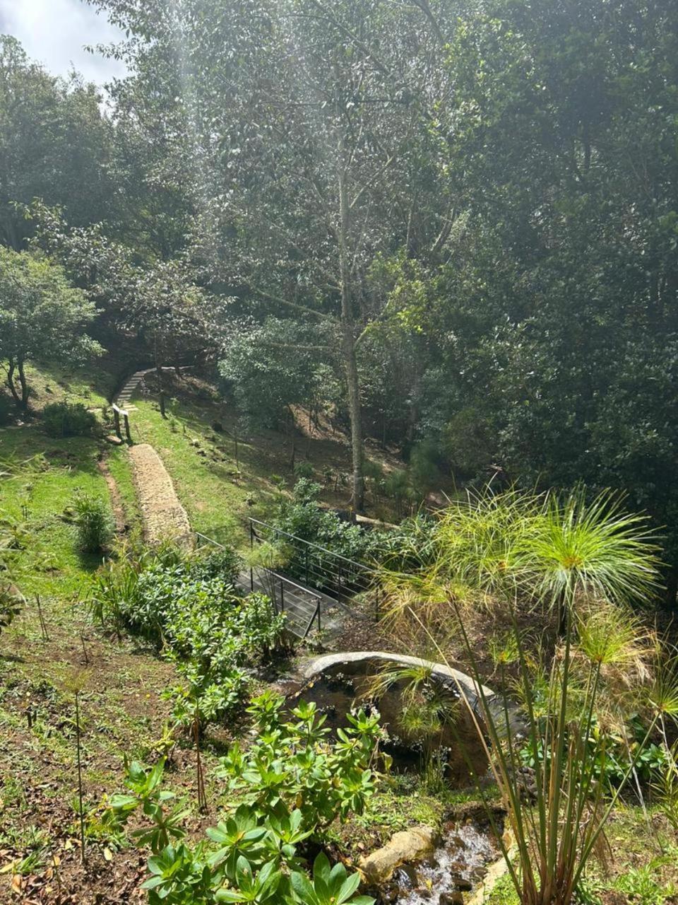 Curuba Lodge Copey المظهر الخارجي الصورة