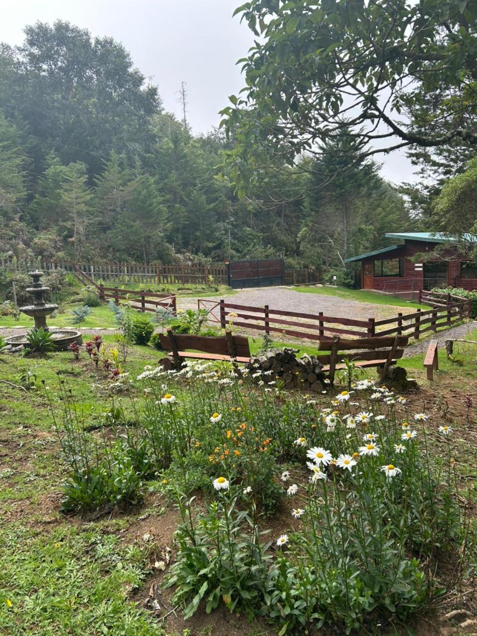 Curuba Lodge Copey المظهر الخارجي الصورة