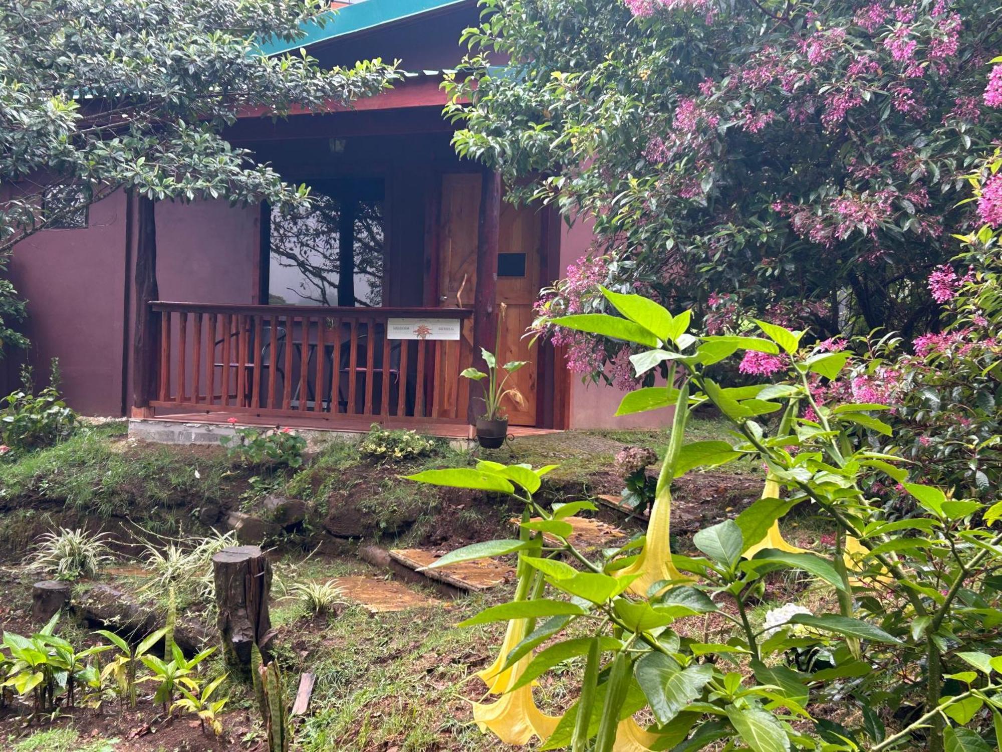 Curuba Lodge Copey المظهر الخارجي الصورة