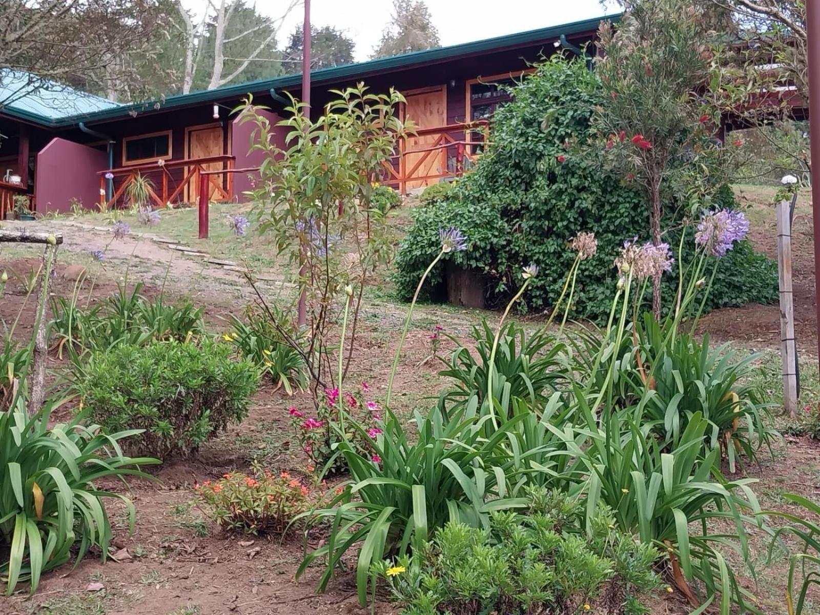 Curuba Lodge Copey المظهر الخارجي الصورة
